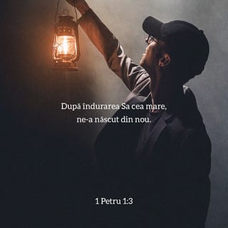 1 Petru 1:3 VDC