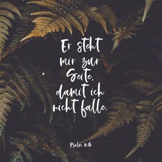 Psalm 16:8 HFA