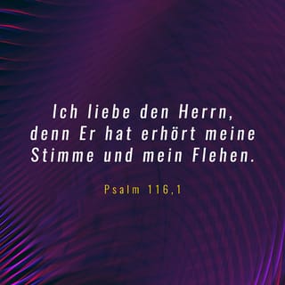 Psalmen 116:1 - Ich liebe den HERRN, denn er hat mich gehört,
als ich laut zu ihm um Hilfe flehte.