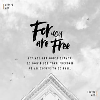 1 Peter 2:16 - You are free, but still you are God's servants, and you must not use your freedom as an excuse for doing wrong.