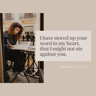 Psalms 119:11 - In my heart I have hidden your word,
so that I may not sin against you.