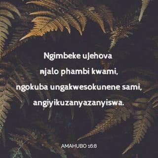 AmaHubo 16:8 - Ngimbeke uJehova njalo phambi kwami,
ngokuba ungakwesokunene sami,
angiyikuzanyazanyiswa.