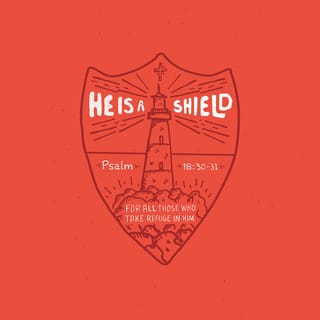 Psalms 18:30 - As for God, His way is blameless;
The word of the LORD is tried;
He is a shield to all who take refuge in Him.