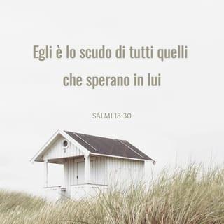Salmi 18:30 NR06