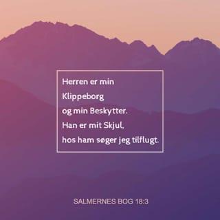 Salmernes Bog 18:1-2 - Jeg elsker Herren,
han er min redning.