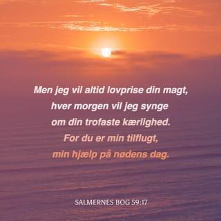 Salmernes Bog 59:16 BPH