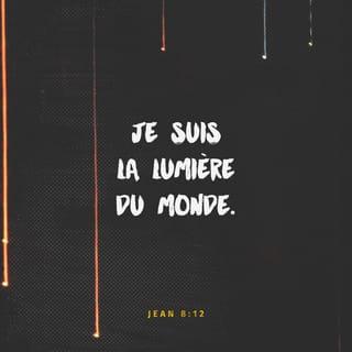 Jean 8:12 - Jésus leur dit encore : C'est moi qui suis la lumière du monde ; celui qui me suit ne marchera jamais dans les ténèbres, mais il aura la lumière de la vie.