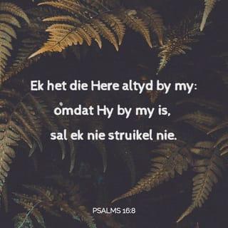 PSALMS 16:8 - Ek het die Here altyd by my:
omdat Hy by my is, sal ek nie struikel nie.