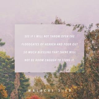 Malachi 3:10 - Bring the whole tithe into the storehouse, that there may be food in my house. Test me in this,’ says the LORD Almighty, ‘and see if I will not throw open the floodgates of heaven and pour out so much blessing that there will not be room enough to store it.