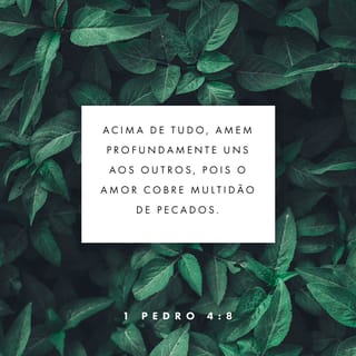 1Pedro 4:8 NTLH
