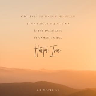 1 Timotei 2:5 VDC