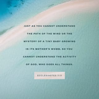 Ecclesiastes 11:5 - No one can explain how a baby breathes before it is born. So how can anyone explain what God does? After all, he created everything.
