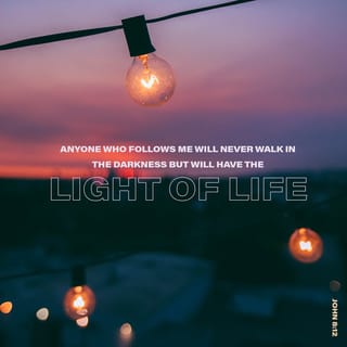 Yochanan (Jhn) 8:12 - Yeshua spoke to them again: “I am the light of the world; whoever follows me will never walk in darkness but will have the light which gives life.”