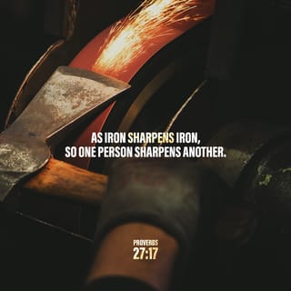 Proverbs 27:17 - You use steel to sharpen steel,
and one friend sharpens another.