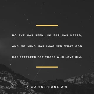 1 Corinthians 2:9 - But it is just as the Scriptures say,
“What God has planned
for people who love him
is more than eyes have seen
or ears have heard.
It has never even
entered our minds!”