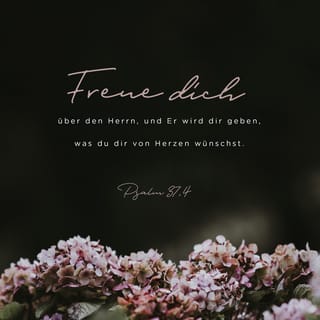 Psalmen 37:4 - Freu dich über den HERRN,
und er wird dir geben, was du dir von Herzen wünschst.