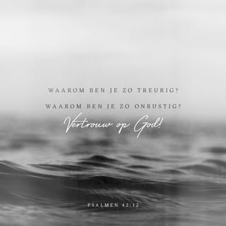 Psalmen 42:11 HTB