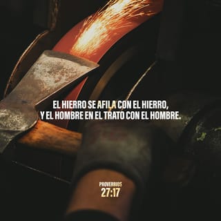 Proverbios 27:17 - El hierro se afila con hierro,
y el hombre con otro hombre.