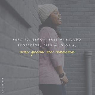 Salmos 3:3 - 3 (4) Solo tú, Dios mío,
me proteges como un escudo;
y con tu poder
me das nueva vida.