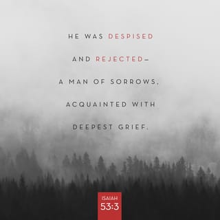 Isaiah 53:3 - He is despised and rejected by men,
A Man of sorrows and acquainted with grief.
And we hid, as it were, our faces from Him;
He was despised, and we did not esteem Him.