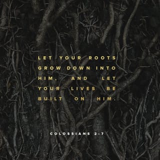 Colossians 2:7 - rooted and built up in him, strengthened in the faith as you were taught, and overflowing with thankfulness.