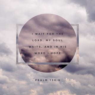 Psalms 130:5 - With all my heart,
I am waiting, LORD, for you!
I trust your promises.