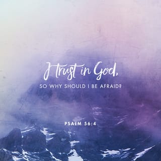 Psalms 56:4 - In God, whose word I praise,
in God I trust; I will not be afraid.
What can mere mortals do to me?