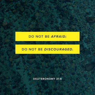 Deuteronomy 31:8 - The LORD himself will go before you. He will be with you; he will not leave you or forget you. Don’t be afraid and don’t worry.”