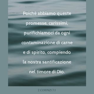 EPISTOLA DI S. PAOLO II A'~CORINTI 7:1 - Avendo adunque queste promesse, cari miei, purghiamoci d'ogni contaminazione di carne, e di spirito, compiendo la nostra santificazione nel timor di Dio.