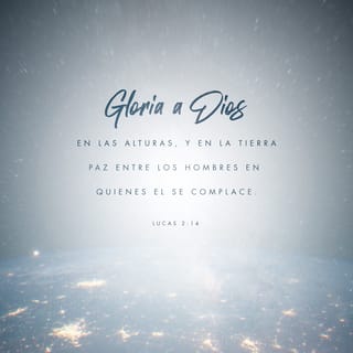 Lucas 2:14 - «Gloria a Dios en el cielo más alto
y paz en la tierra para aquellos en quienes Dios se complace».