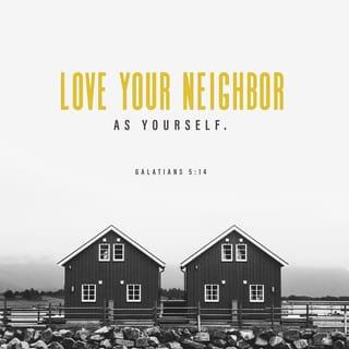 Galatians 5:14 - For the whole Law [concerning human relationships] is complied with in the one precept, You shall love your neighbor as [you do] yourself. [Lev. 19:18.]