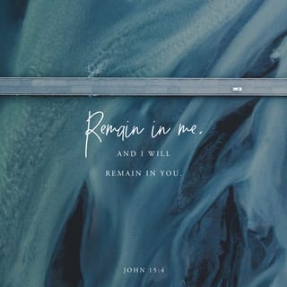 John 15:4 - Remain united to me, and I will remain united to you. A branch cannot bear fruit by itself; it can do so only if it remains in the vine. In the same way you cannot bear fruit unless you remain in me.