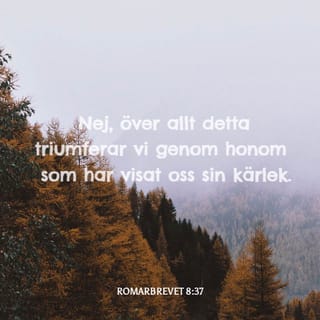 Romarbrevet 8:37-39 B2000