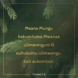 Yohana 3:17 - Maana Mungu hakumtuma Mwana ulimwenguni ili auhukumu ulimwengu, bali ulimwengu uokolewe katika yeye.
