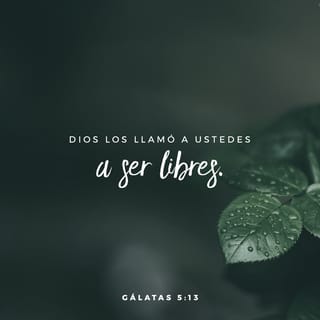 Gálatas 5:13-15 RVR1960