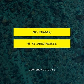 Deuteronomio 31:8 - El Señor va delante de ti. Él estará contigo, y no te dejará ni te desamparará. No temas ni te intimides.»