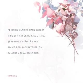 Ioan 15:2 VDC
