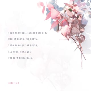 João 15:2 - Todo ramo que, estando em mim, não dá fruto, ele corta. Todo ramo que dá fruto, ele poda, para que produza ainda mais.