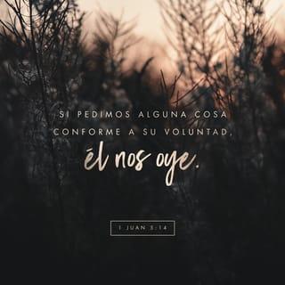 1 Juan 5:14 RVR1960