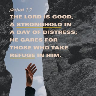 Nahum 1:7 - The Lord is good, a Strength and Stronghold in the day of trouble; He knows (recognizes, has knowledge of, and understands) those who take refuge and trust in Him. [Ps. 1:6; Hos. 13:5; John 10:14, 27.]