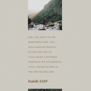 Isaiah 43:19 - Behold, I will do a new thing; now shall it spring forth; shall ye not know it? I will even make a way in the wilderness, and rivers in the desert.