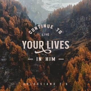 Colossians 2:6 - As you received Christ Jesus the Lord, so continue to live in him.