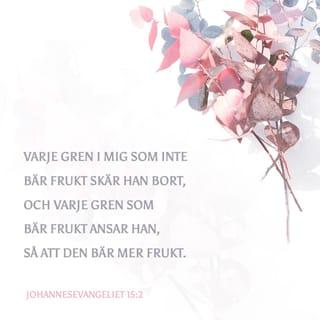 Johannesevangeliet 15:2 - Varje gren i mig som inte bär frukt skär han bort, och varje gren som bär frukt ansar han, så att den bär mer frukt.