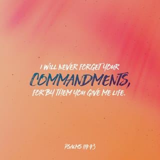 Psalm 119:93-96 - I will never forget your precepts,
for by them you have given me life.
I am yours; save me,
for I have sought your precepts.
The wicked lie in wait to destroy me,
but I consider your testimonies.
I have seen a limit to all perfection,
but your commandment is exceedingly broad.