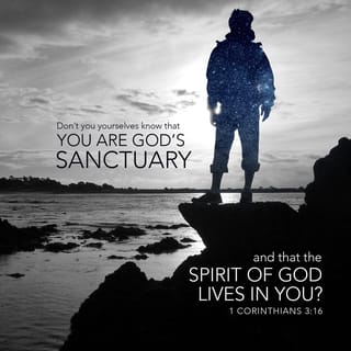 1 Corinthians 3:16 - Do you not know that you are God’s temple and the Spirit of God dwells in you?