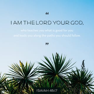 Isaiah 48:17 - The LORD, the Savior, the Holy One of Israel, says,
“I am the LORD your God.
I teach you for your own good.
I lead you in the way you should go.