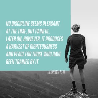 Hebrews 12:11 - All discipline for the moment seems not to be joyful, but sorrowful; yet to those who have been trained by it, afterwards it yields the peaceful fruit of righteousness.