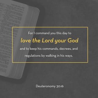 Deuteronomy 30:16 - If you obey the commands of the LORD your God, which I give you today, if you love him, obey him, and keep all his laws, then you will prosper and become a nation of many people. The LORD your God will bless you in the land that you are about to occupy.