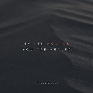 1 Peter 2:24 - “He himself carried our sins” in his body on the cross. He did it so that we would die as far as sins are concerned. Then we would lead godly lives. “His wounds have healed you.”