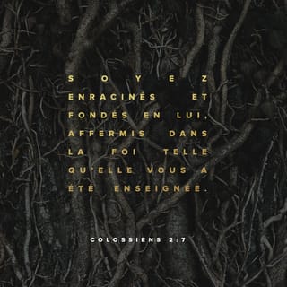 Colossiens 2:6-7 PDV2017